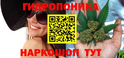 мет Кинель