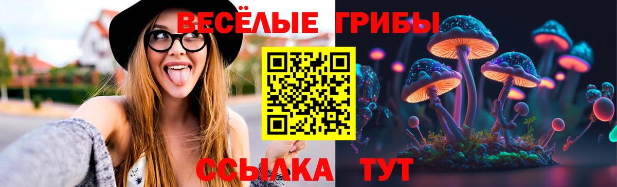 Краснотурьинск  Галлюциногенные грибы прущие грибы  Вход с VPN 
